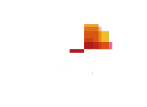pwc-logo-removebg-preview